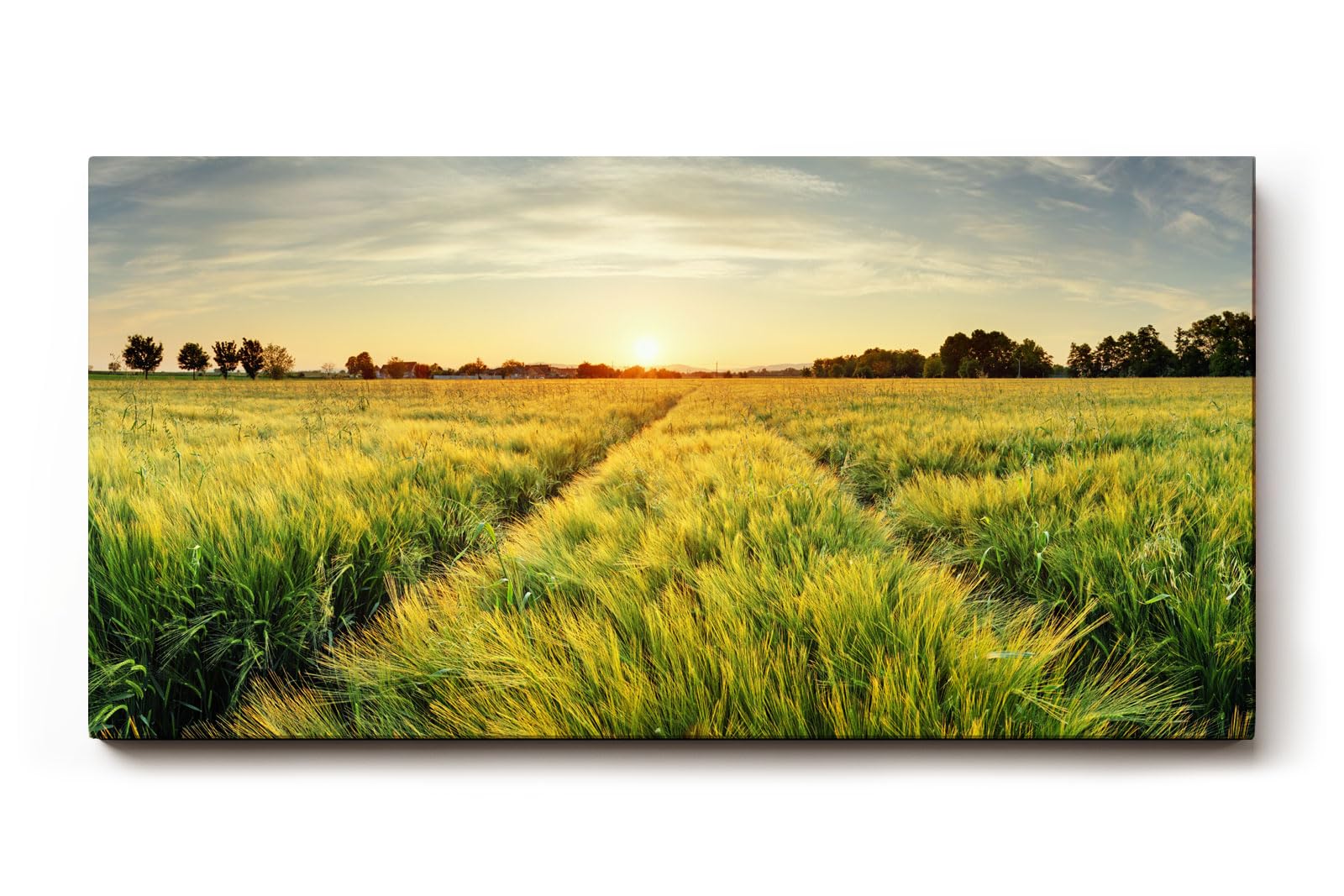 Sinus Art Wandbild 120x80cm Sonnenuntergang über einem weitläufigen Feld voller goldener Halme – friedlich und inspirierend