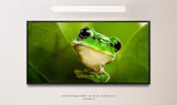Frosch hinter Blättern ca. 130x70cm Wandbild inklusive Schattenfugenrahmen schwarz - Panorama Leinwand Bild XXL Format Wandbilder Wohnzimmer Wohnung Deko Kunstdrucke