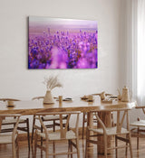 Paul Sinus Wandbild 120x80cm Blumen Blüten Violett Lavendel Blumenfeld Sonnenschein