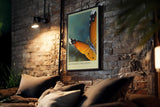 Paul Sinus Kunstdruck 40x60cm Schmetterling Nahaufnahme mit orange-schwarzen Flügeln – Moment voll Balance und Ruhe