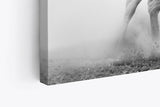 Paul Sinus Wandbild 120x80cm Weißes Pferd Wildpferd Schwarz Weiß Fotokunst