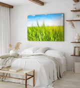 Paul Sinus Wandbild 120x80cm Weizenfeld Weizen Sommer blauer Himmel Natur
