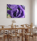 Paul Sinus Wandbild 120x80cm Violette Blume Blüte Nahaufnahme Kunstvoll Dekorativ