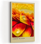 Paul Sinus Kunstdruck 40x60cm Ember Bloom – leuchtend rote und gelbe Blütenblätter mit Tautropfen in Nahaufnahme