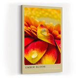 Paul Sinus Kunstdruck 40x60cm Ember Bloom – leuchtend rote und gelbe Blütenblätter mit Tautropfen in Nahaufnahme