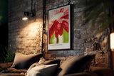Paul Sinus Kunstdruck 40x60cm Morning Bloom – rote Blüte mit Tautropfen im Morgenlicht in Nahaufnahme