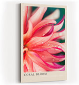 Paul Sinus Kunstdruck 40x60cm Coral Bloom – Blüte in Korallrot mit zarten Tropfen in leuchtender Nahaufnahme