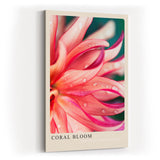 Paul Sinus Kunstdruck 40x60cm Coral Bloom – Blüte in Korallrot mit zarten Tropfen in leuchtender Nahaufnahme