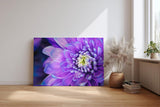 Sinus Art Wandbild 120x80cm Faszinierende Makroaufnahme einer violetten Blüte mit feinen Strukturen und natürlicher Tiefe