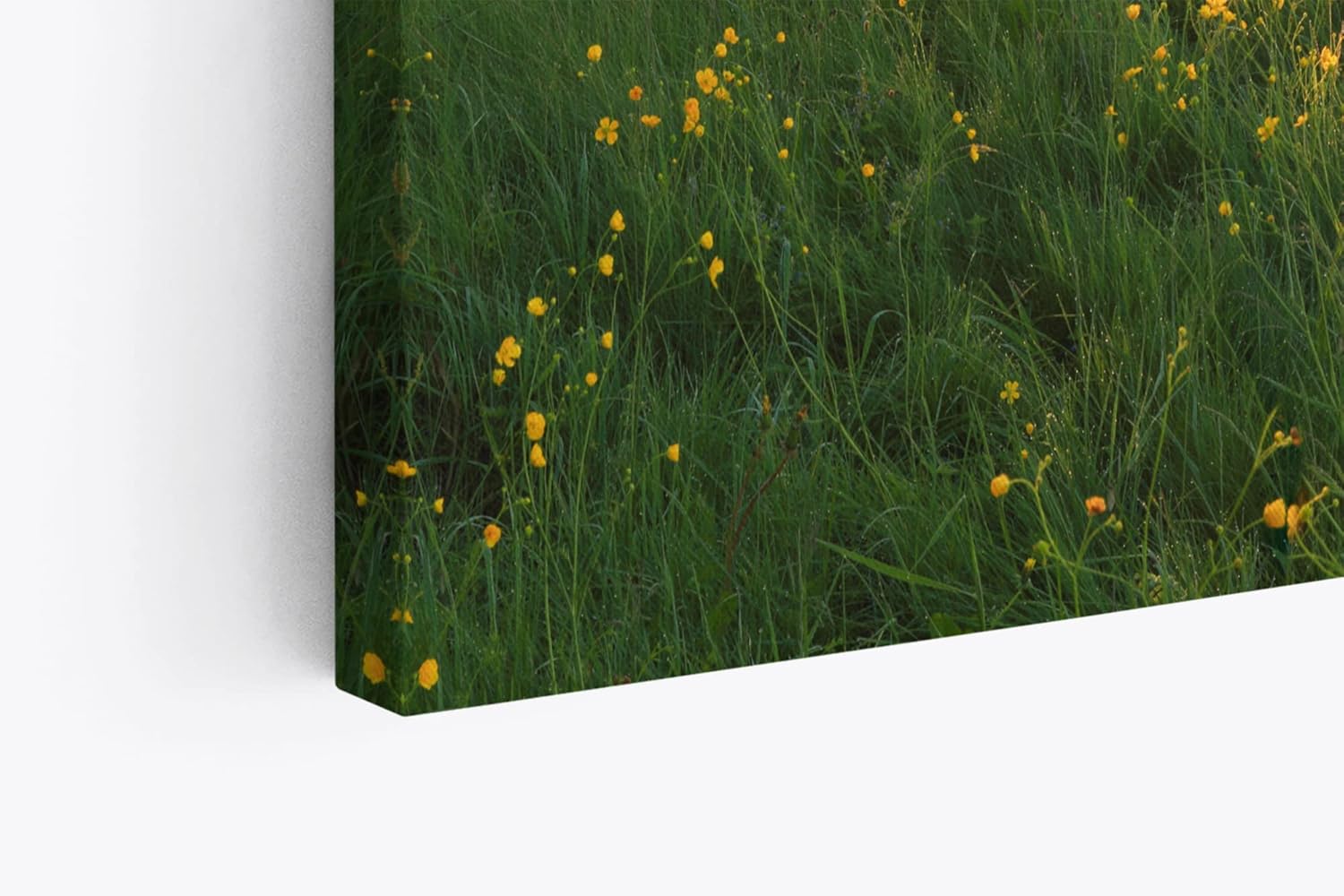 Paul Sinus Wandbild 120x80cm Fluss Morgentau Sonnenaufgang Wiese Bäume Natur