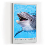 Paul Sinus Kunstdruck 40x60cm Water's Playful Spirit – Fröhlicher Delfin im klaren Wasser in lebendiger Nahaufnahme