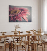 Paul Sinus Wandbild 120x80cm Gerbera Blume Blüte Rosa Nahaufnahme Kunstvoll