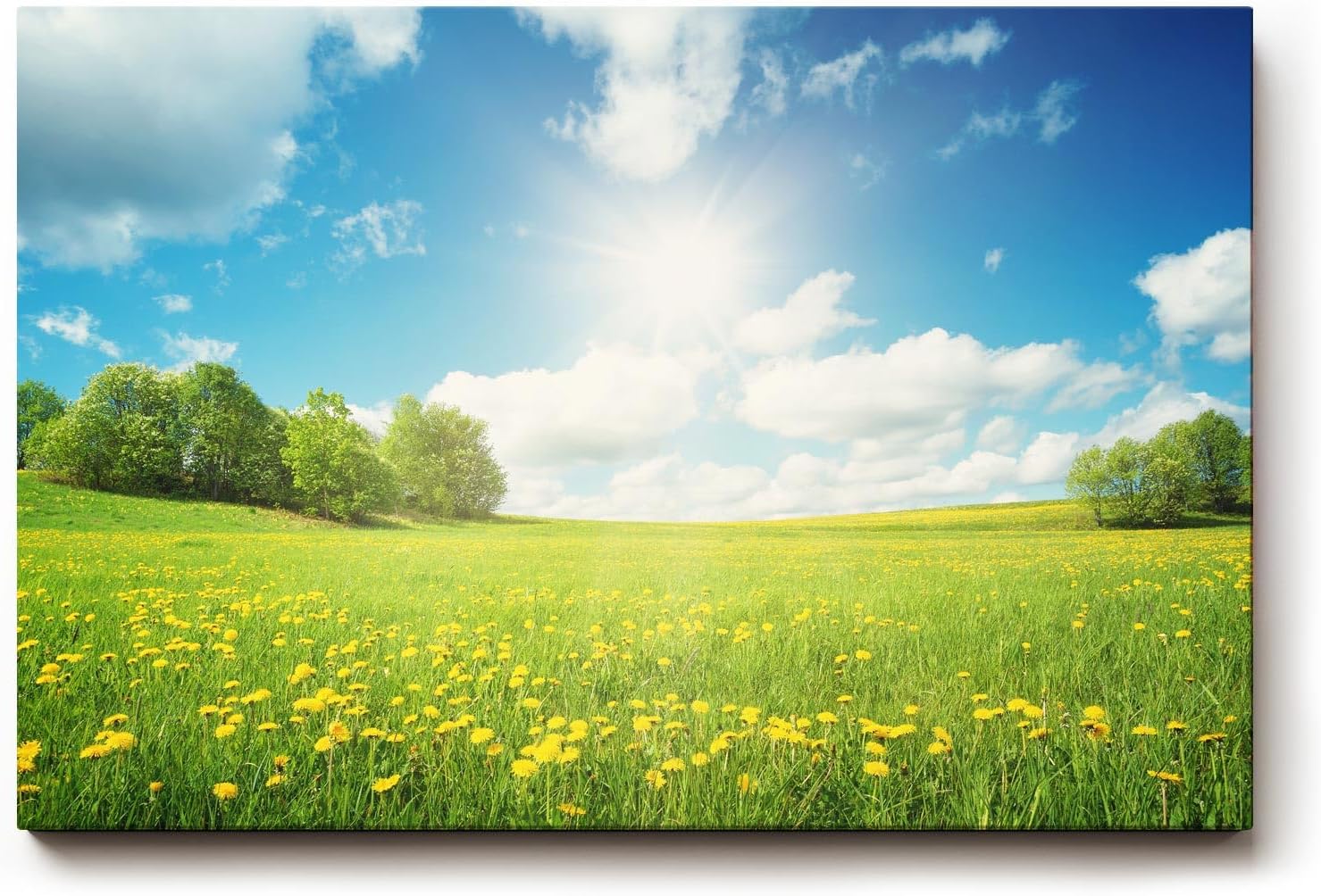 Sinus Art Wandbild 120x80cm Weite Frühlingswiese mit gelben Blüten und strahlendem Himmel für fröhliche Atmosphäre