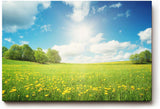 Sinus Art Wandbild 120x80cm Weite Frühlingswiese mit gelben Blüten und strahlendem Himmel für fröhliche Atmosphäre