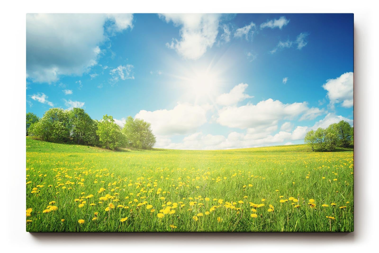Sinus Art Wandbild 120x80cm Weite Frühlingswiese mit gelben Blüten und strahlendem Himmel für fröhliche Atmosphäre