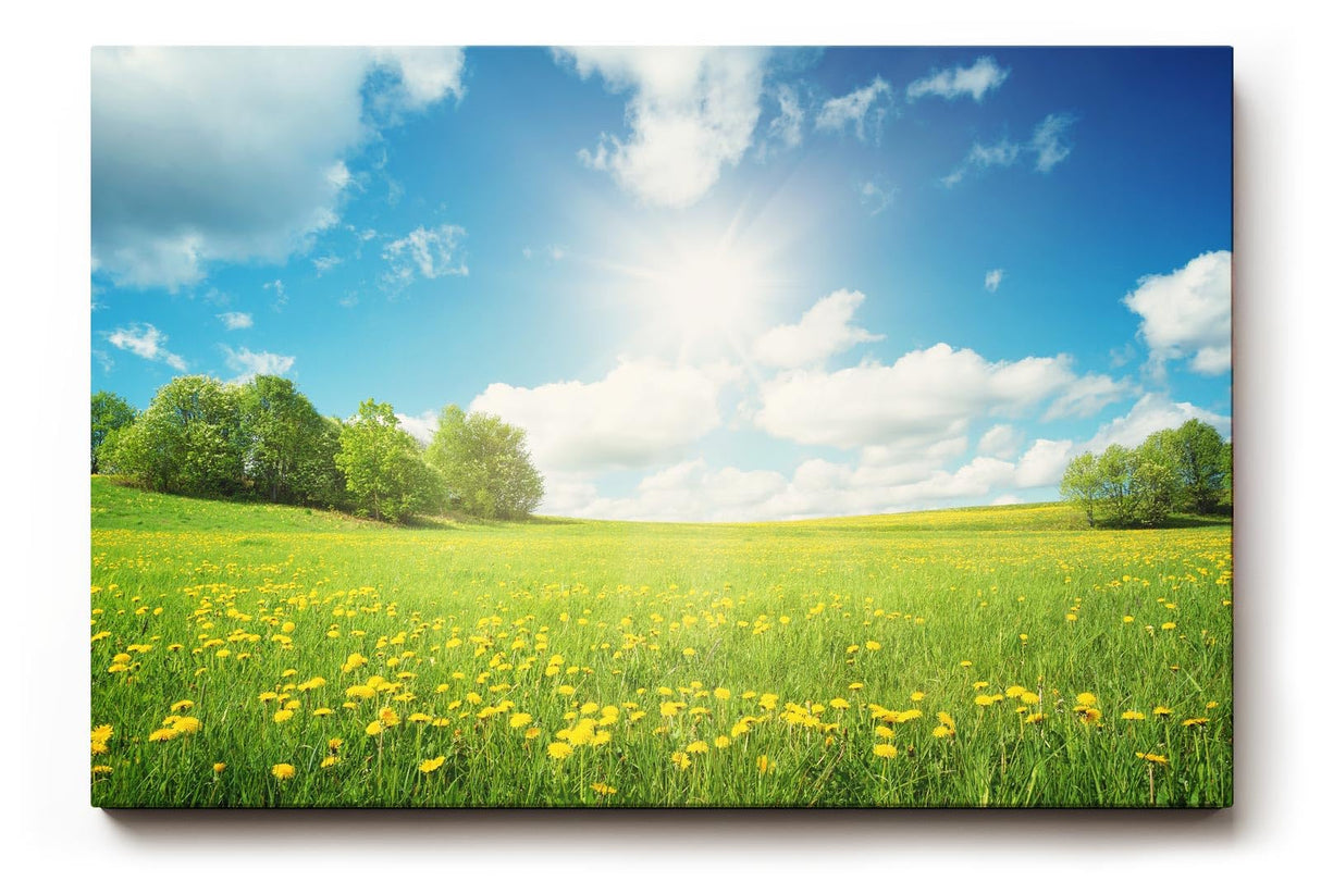 Sinus Art Wandbild 120x80cm Weite Frühlingswiese mit gelben Blüten und strahlendem Himmel für fröhliche Atmosphäre