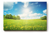 Sinus Art Wandbild 120x80cm Weite Frühlingswiese mit gelben Blüten und strahlendem Himmel für fröhliche Atmosphäre