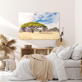 Paul Sinus Wandbild 120x80cm Afrikanische Landschaft Burkea Africana Bäume Sonnenuntergang