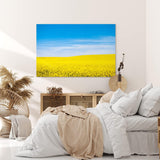 Paul Sinus Wandbild 120x80cm Rapsfeld Raps Landschaft Gelb Himmel Sommer