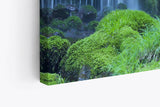 Paul Sinus Wandbild 120x80cm Oregon Wasserfälle Natur Wasser Grün USA