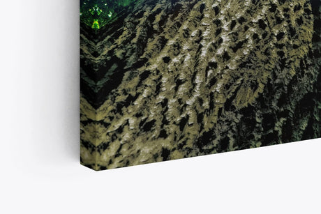 Paul Sinus Wandbild 120x80cm Baum Sonnenstrahlen Baumkrone Grün Natur
