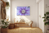Sinus Art Wandbild 120x80cm Detailreiche Darstellung einer Clematisblüte in Violett mit weißem Zentrum