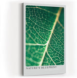 Paul Sinus Wandbild 80x120cm Nature's Blueprint – Blattstruktur in Nahaufnahme mit lebendiger Linienführung