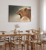 Paul Sinus Wandbild 120x80cm Löwe Löwin Wildnis Raubkatze Fangzähne Afrika