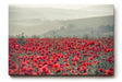 Sinus Art Wandbild 120x80cm Friedliche Blumenlandschaft mit Weitblick und natürlicher Farbintensität
