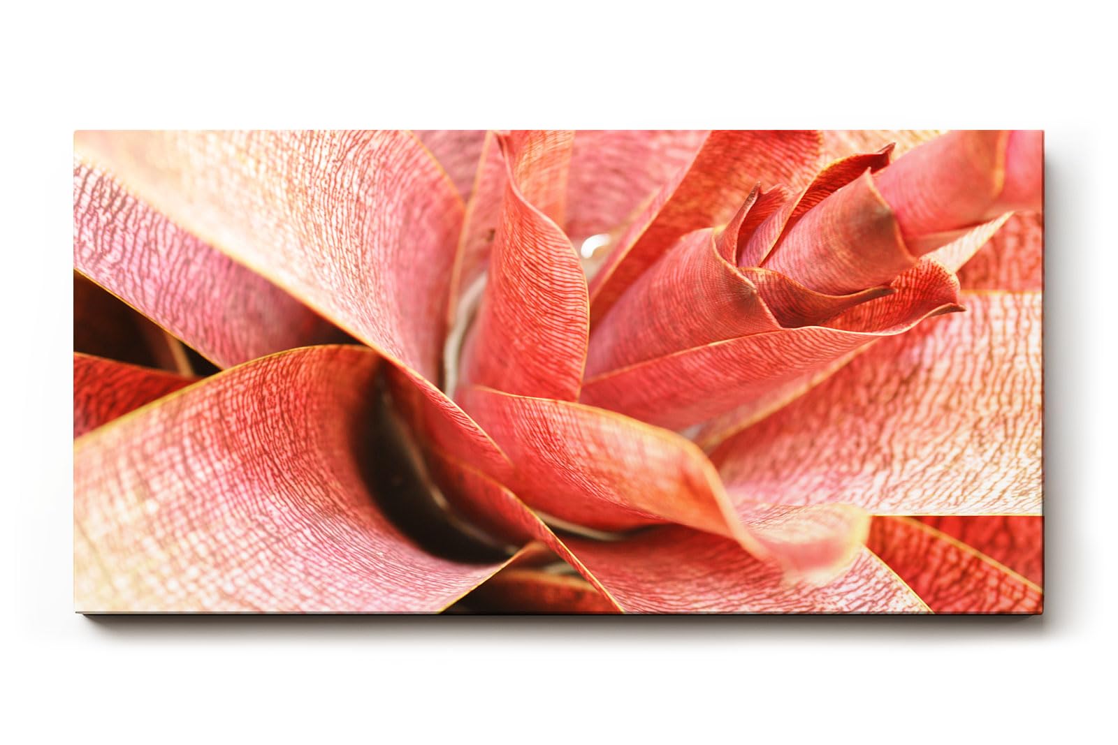 Sinus Art Wandbild 120x80cm Abstrakte Makroaufnahme einer roten Pflanze – organisch, dynamisch und einzigartig