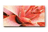 Sinus Art Wandbild 120x80cm Abstrakte Makroaufnahme einer roten Pflanze – organisch, dynamisch und einzigartig