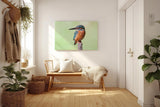 Sinus Art Wandbild 120x80cm Leuchtend blauer Eisvogel auf Ast vor ruhigem Hintergrund – naturgetreue Darstellung