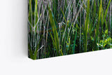 Paul Sinus Wandbild 120x80cm Sommer Sonnenaufgang Holzweg Natur Gras Strandweg