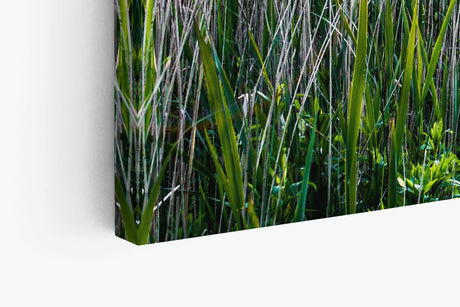 Paul Sinus Wandbild 120x80cm Sommer Sonnenaufgang Holzweg Natur Gras Strandweg