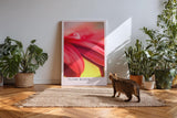 Paul Sinus Kunstdruck 40x60cm Flame Bloom Rote Blume Wassertropfen Makro Nahaufnahme Detail