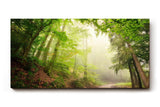 Sinus Art Wandbild 120x80cm Faszinierender Waldweg mit mystischem Nebel für Ruhe und Tiefe in jedem Raum