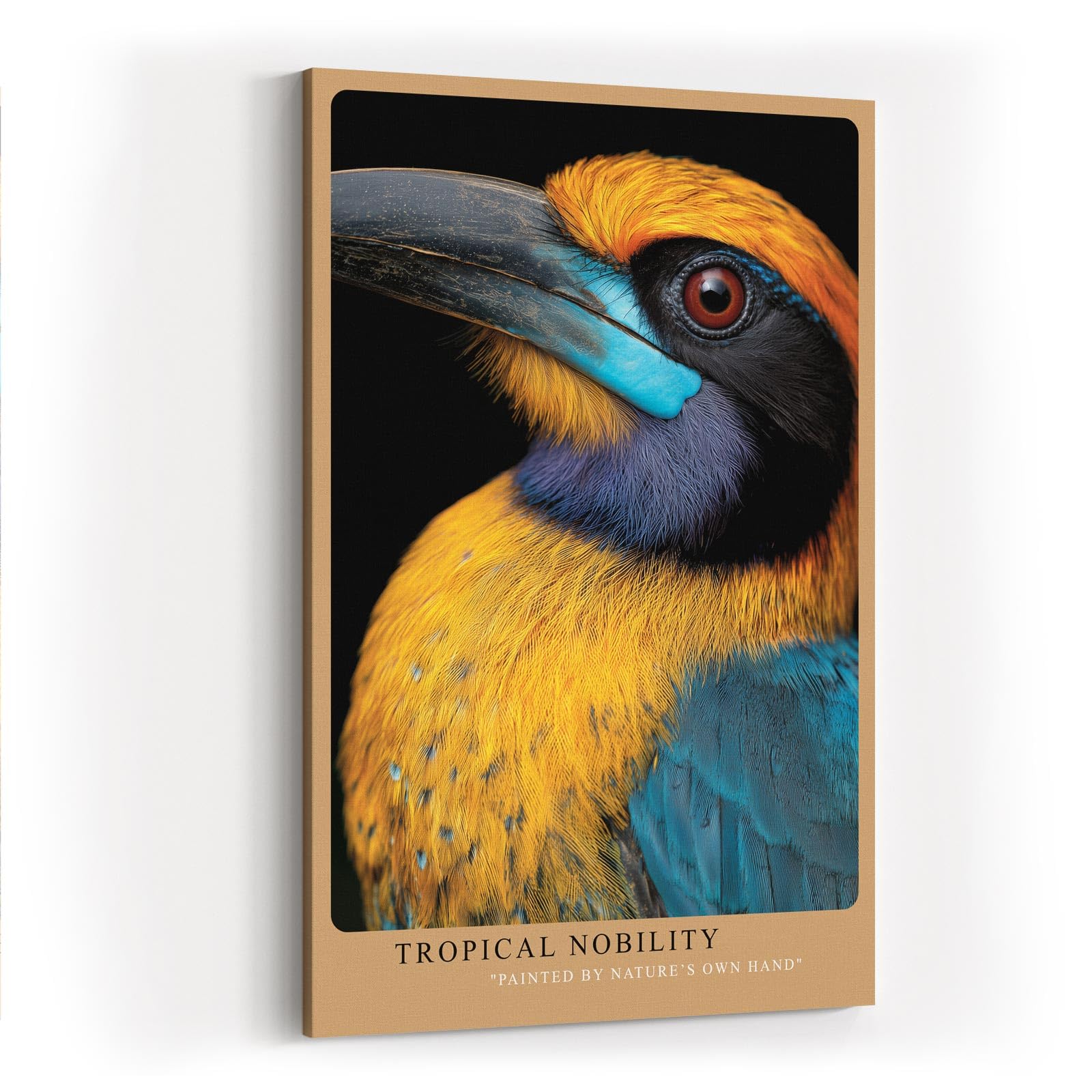 Paul Sinus Wandbild in 40x60cm Tropical Nobility – farbintensives Porträt eines exotischen Vogels für ausdrucksstarke Raumgestaltung