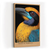 Paul Sinus Wandbild in 40x60cm Tropical Nobility – farbintensives Porträt eines exotischen Vogels für ausdrucksstarke Raumgestaltung