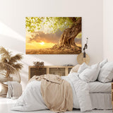Wandbild 120x80cm Großer Baum Natur Sonnenuntergang Wurzeln Wolken