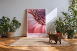 Paul Sinus Kunstdruck 40x60cm Floral Curve mit Makroaufnahme einer rosa Blüte in sanfter Kurve