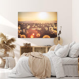 Paul Sinus Wandbild 120x80cm Sommerwiese Pusteblumen Wildblumen Sonnenschein Landschaft