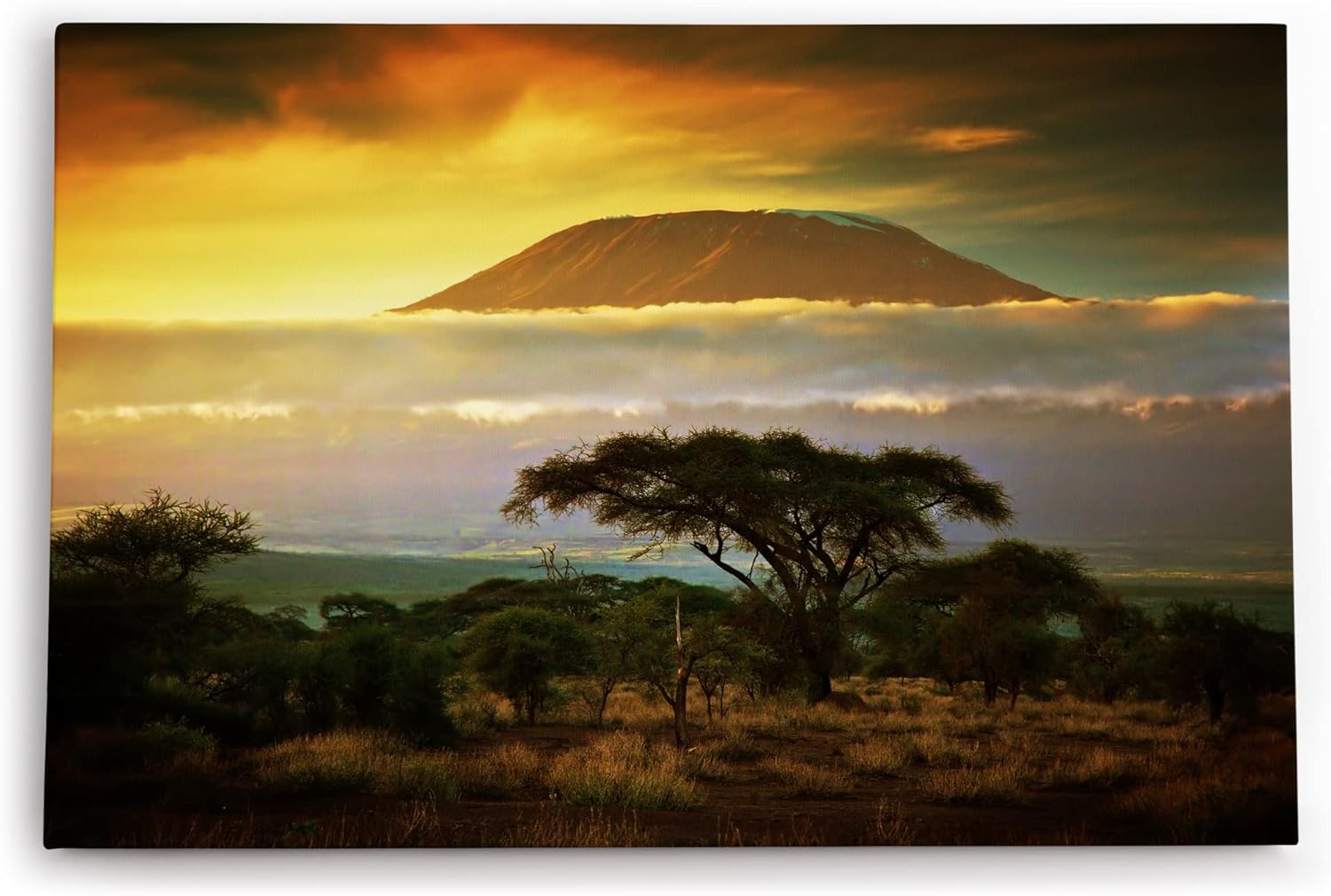 Paul Sinus Wandbild 120x80cm Kilimandscharo Berg Afrika Burkea Bäume Wolken