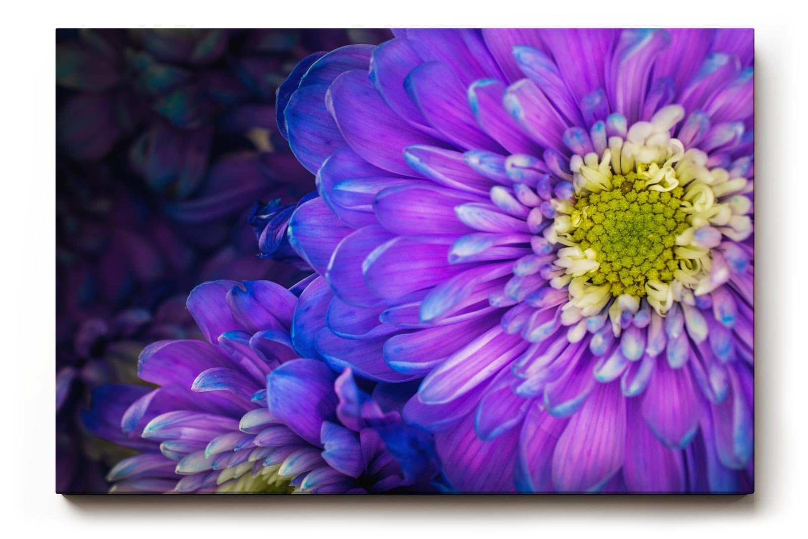 Sinus Art Wandbild 120x80cm Zwei Blüten in Nahaufnahme – detailreich und harmonisch miteinander verschmolzen