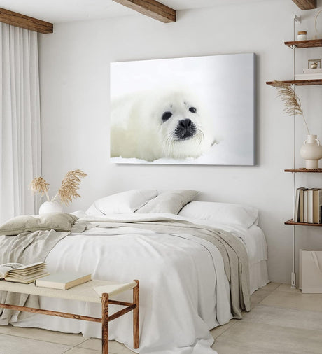 Paul Sinus Wandbild 120x80cm Weiße Robbe Robbenbaby Schnee Tierfotografie