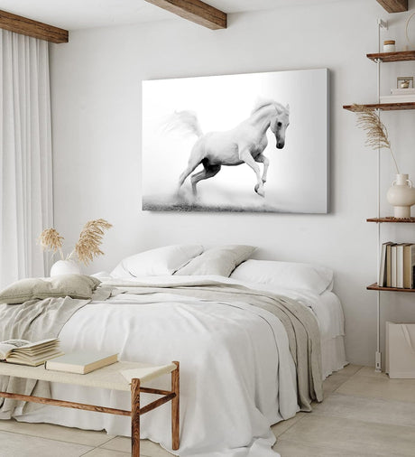 Paul Sinus Wandbild 120x80cm Weißes Pferd Wildpferd Schwarz Weiß Fotokunst