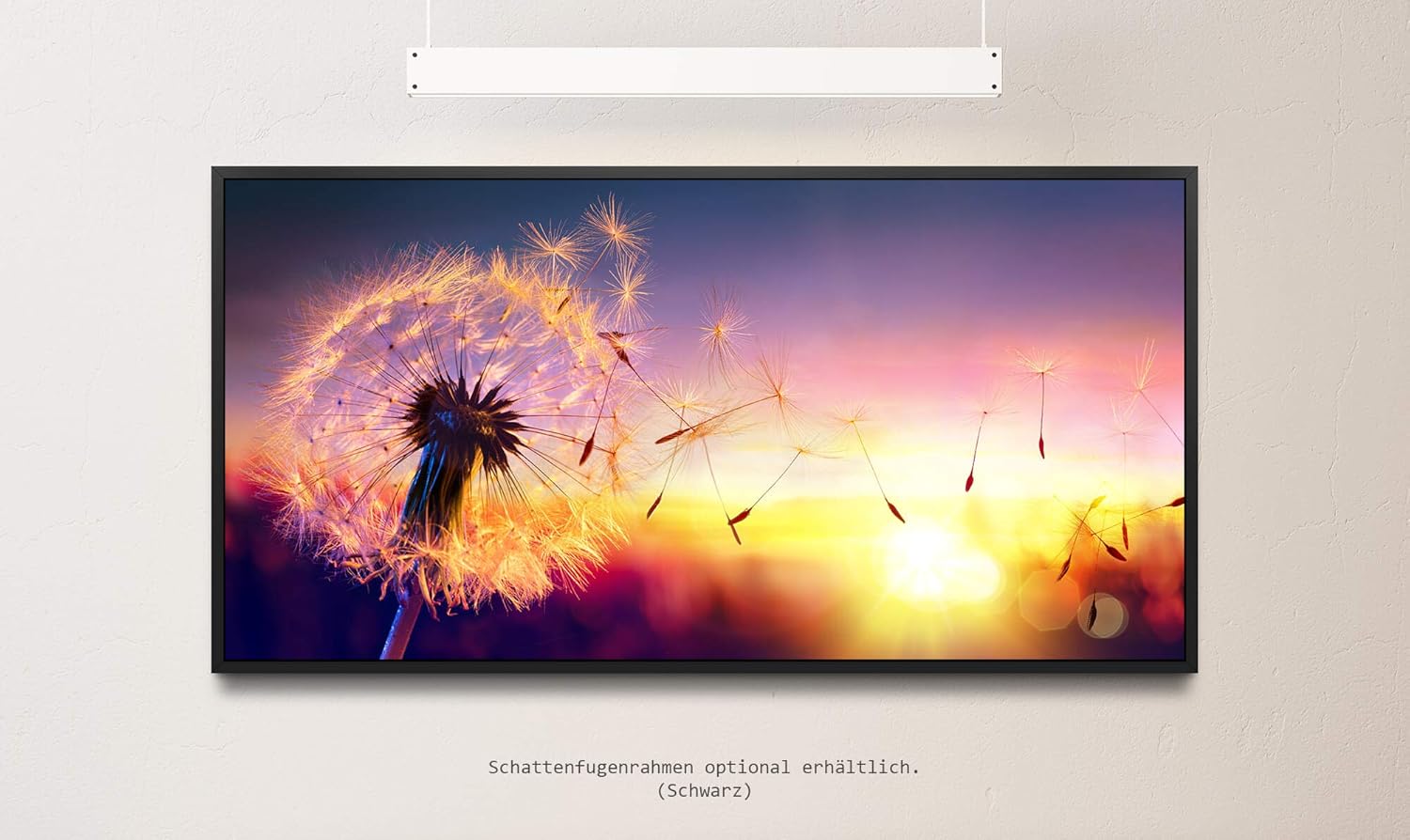 Löwenzahn im Sonnenuntergang ca. 130x70cm Wandbild inklusive Schattenfugenrahmen schwarz - Panorama Leinwand Bild XXL Format Wandbilder Wohnzimmer Wohnung Deko Kunstdrucke