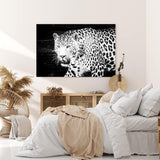 Paul Sinus Wandbild 120x80cm Jaguar Raubkatze Schwarz Weiß blaue Augen Tierfotografie