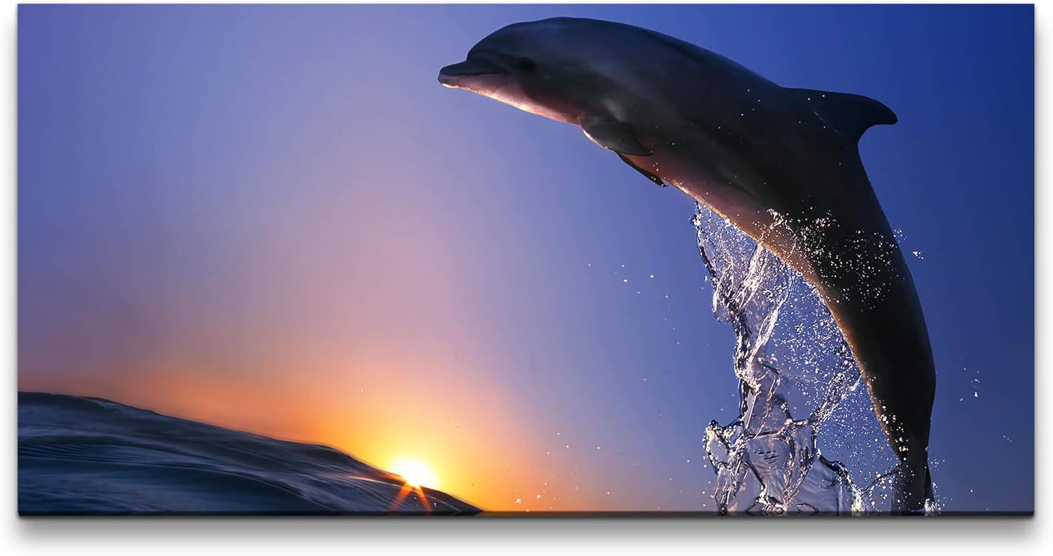 Delfin im Meer mit Wellen ca. 130x70cm Wandbild inklusive Schattenfugenrahmen weiss - Panorama Leinwand Bild XXL Format Wandbilder Wohnzimmer Wohnung Deko Kunstdrucke