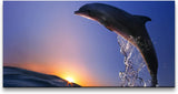 Delfin im Meer mit Wellen ca. 130x70cm Wandbild inklusive Schattenfugenrahmen weiss - Panorama Leinwand Bild XXL Format Wandbilder Wohnzimmer Wohnung Deko Kunstdrucke