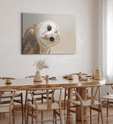 Paul Sinus Wandbild 120x80cm Schleiereule Eule mit geneigten Kopf Tierfotografie